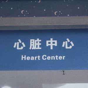 山楂树之恋（原唱：大能人）