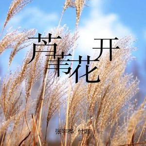 芦苇花开 古筝版