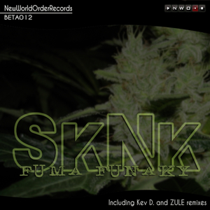 SkNk (Kev D Remix)
