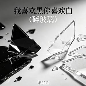 我喜欢黑你喜欢白（碎玻璃）