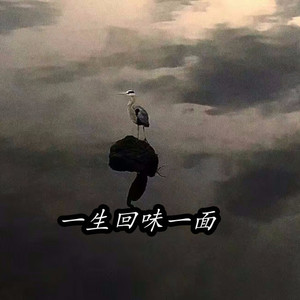 一生回味一面(DJ闷涛哥哥Remix)