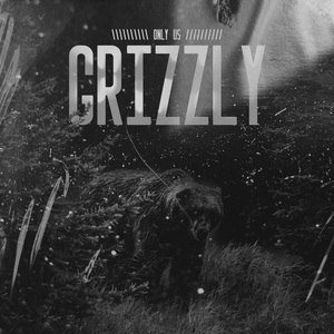 GRIZZLY