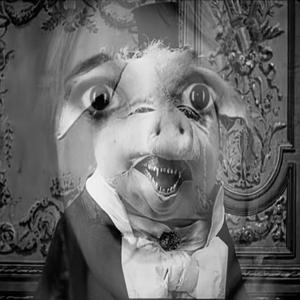 Xoloitzcuintli (feat. Vivienne's)