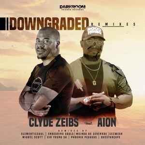 Downgraded (Questarcafe Vocal Mix)