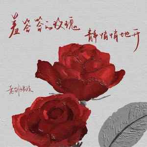 羞答答的玫瑰静悄悄地开