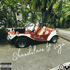 bombastic (feat. siya)