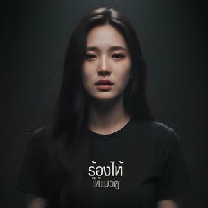 ร้องไห้ให้แมวดู