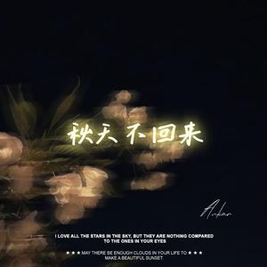 秋天不回来(吉他)