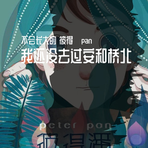 我还没去过安河桥北