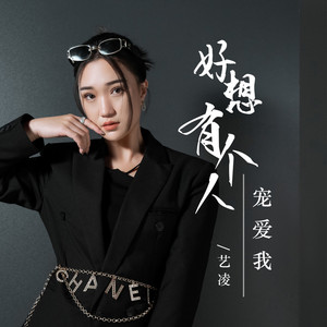 好想有个人宠爱我 (DJ默涵版)