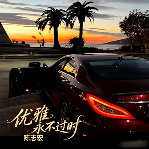 优雅永不过时（车载DJ）