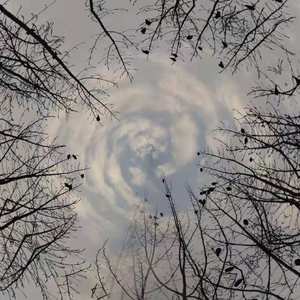 沉醉你身上的香味