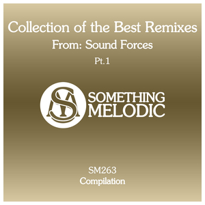 Revelation (Sound Forces Remix)