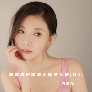 想要忘记你怎么就这么难（DJ何友版）