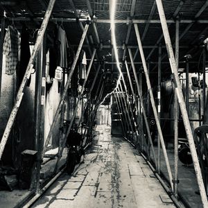 STOIC(DEMO2)