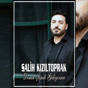 Demek Şimdi Gidiyorsun (Remix)