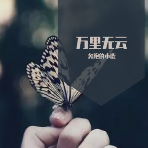 万里无云 (6)