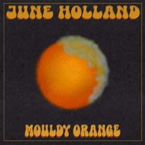 Mouldy Orange
