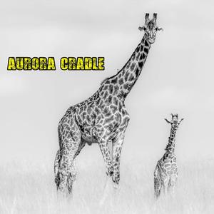 Aurora Cradle