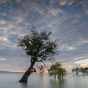 上春山（片段）