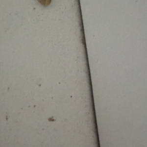 星河月光下的邂逅珍藏.wav