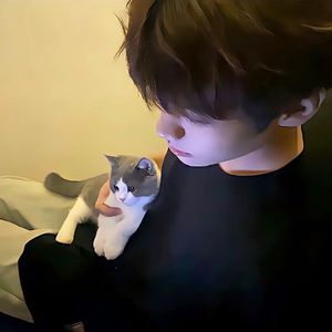 城市中的白杨啊