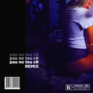 Pau no Teu Cú (Remix)