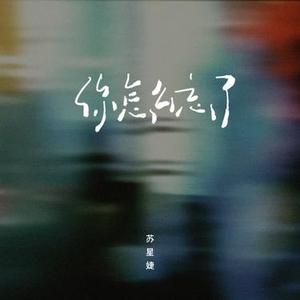 你怎么忘了 (0.8x)