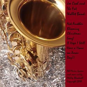 Not Another Blooming Christmas Song (I Hope I Still Have a Home on Xmas Day!) [The Clean version]