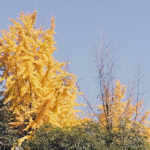 暖一杯茶（part）