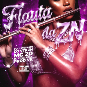 FLAUTA DA ZN