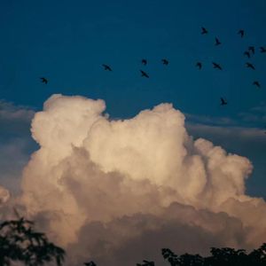 注定是奇迹 伴奏