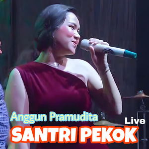 Santri Pekok (Live)