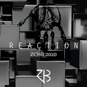 Reaction(Original Mix)
