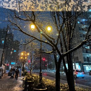 泶