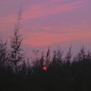 Peaches (Acoustic ver.)