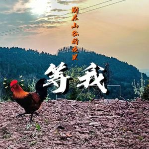 别在山谷的夜里等我