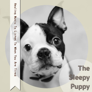 Reflections on the Threshhold of Sleep