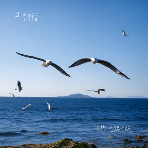 你来了又走心满了又空