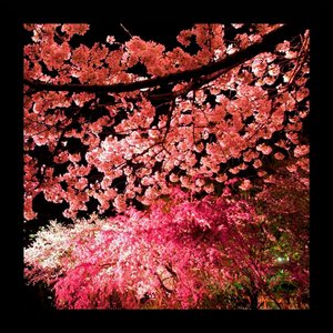 Seroquel (Director's Cut Mix)