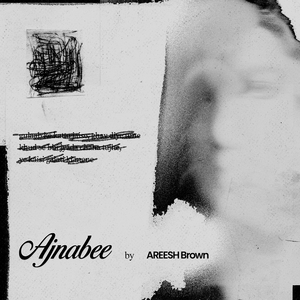 Ajnabee