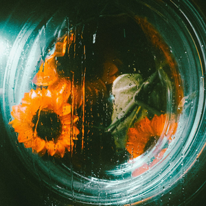 Meal (feat. Z.K, 산도, xxiga, 문상현, P raw, 감초, Naswan, Allenxxb, pzasodope, 산타십구)