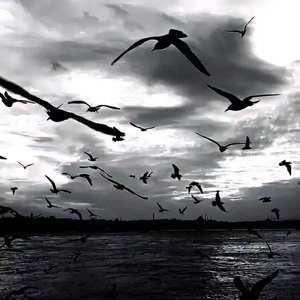 对立面（prod By 9zi）