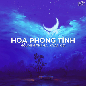 Họa Phong Tình (Lofi)