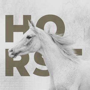 Horse (feat. Sophaura & Virgo)