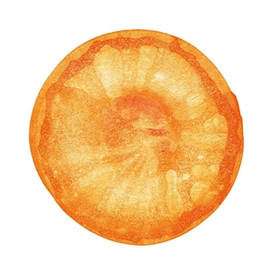 それはただの気分さ