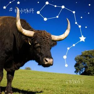 金牛座的星空
