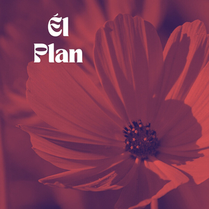 Él Plan
