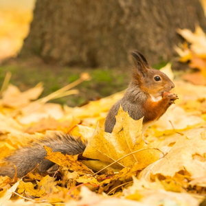 ДРУГИЕ ПЛАЧУТ