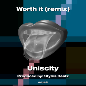 Worth it (remix)